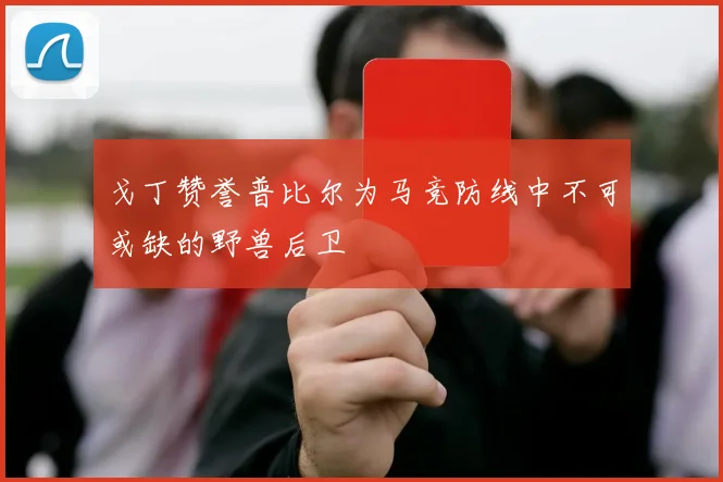 戈丁赞誉普比尔为马竞防线中不可或缺的野兽后卫