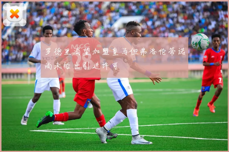 罗德里渴望加盟皇马但弗洛伦蒂诺尚未给出引进许可