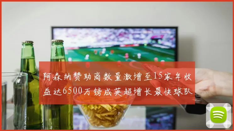 阿森纳赞助商数量激增至15家年收益达6500万镑成英超增长最快球队